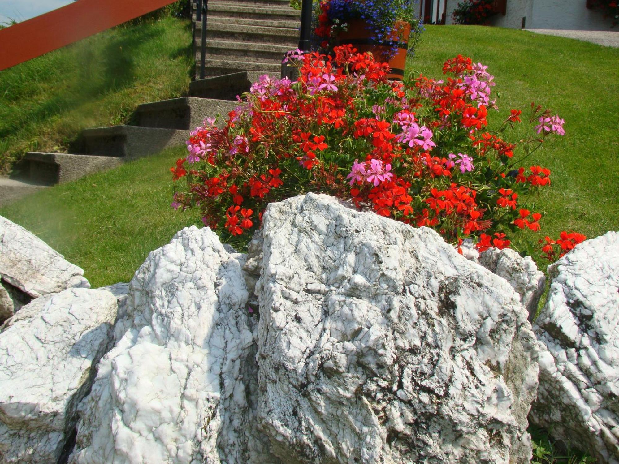 Gaestehaus Apschner St. Corona am Wechsel Exterior foto